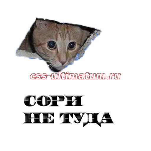 Спрей Кот из стены -Сорри не туда