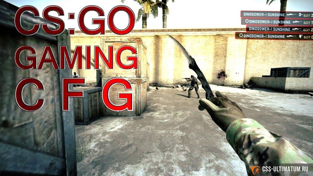 CFG Guardian CS GO