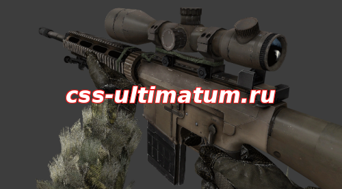 Sig 550 в стиле Homefront